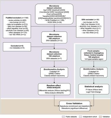 Gut Microbiome Signatures in the Progression of Hepatitis B Virus-Induced Liver Disease